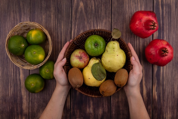 Top view woman holding basket with green tangerines pomegranates pears apples and kiwi on wooden wall
