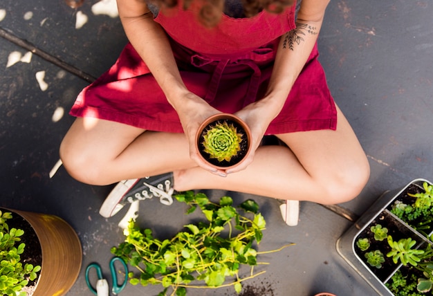 Free photo top view woman holding a plant