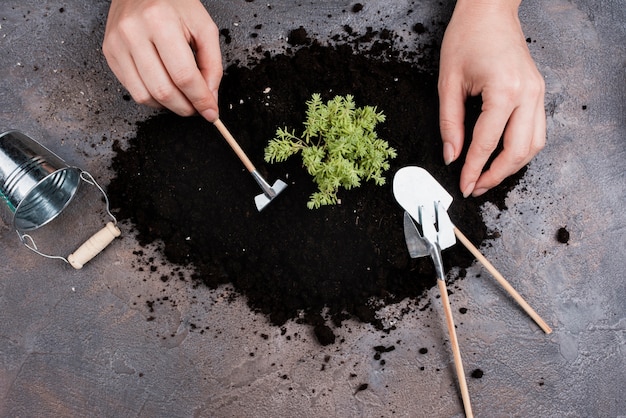 Top view of woman using miniatures tools