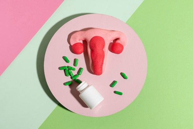 Top view women reproductive system and pills