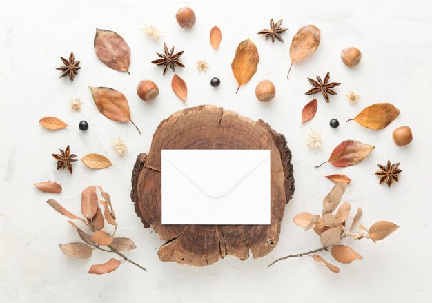 Top view of wood with autumn leaves and copy space