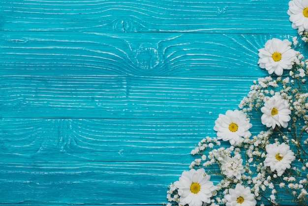 Top view of wooden background with daisies