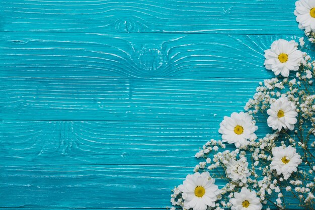 Top view of wooden background with daisies