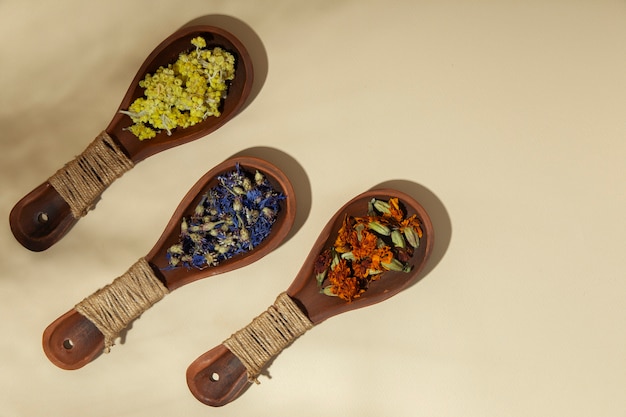 Top view wooden spoons with plants