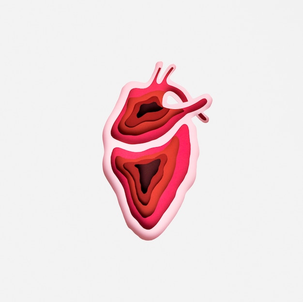 Top view world heart day concept