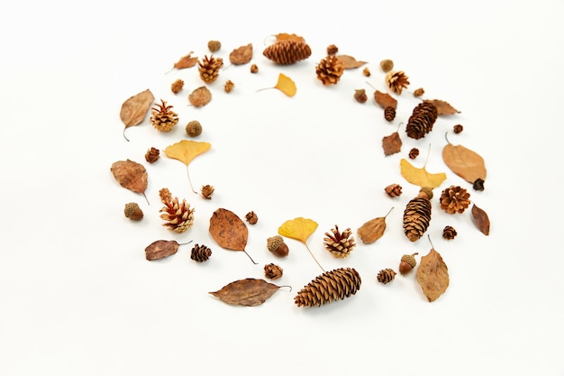 Top view of a wreath made of autumn leaves and conifer cones on white background