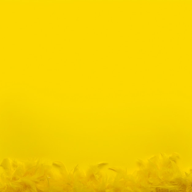 Вид сверху желтый боа из перьев с копией пространства