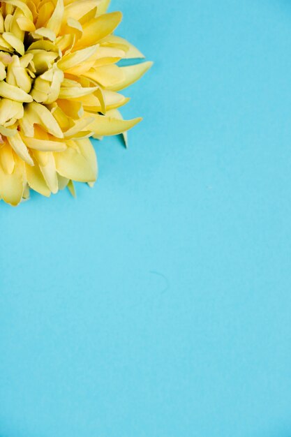 コピースペースを持つトップビュー黄色い花