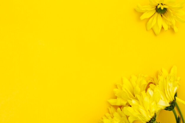 Copyspaceとトップビュー黄色い花