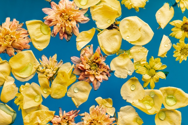 Top view yellow flowers in blue water