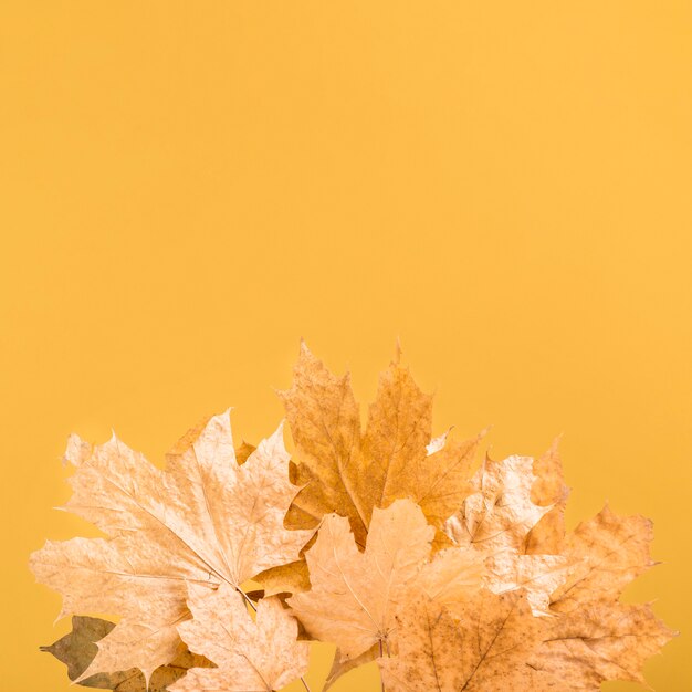 Top view yellow leaves frame with copy-space