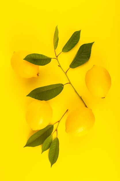 柑橘系の果物の黄色の背景色に分離された緑の葉で熟したトップビューイエローレモン新鮮な