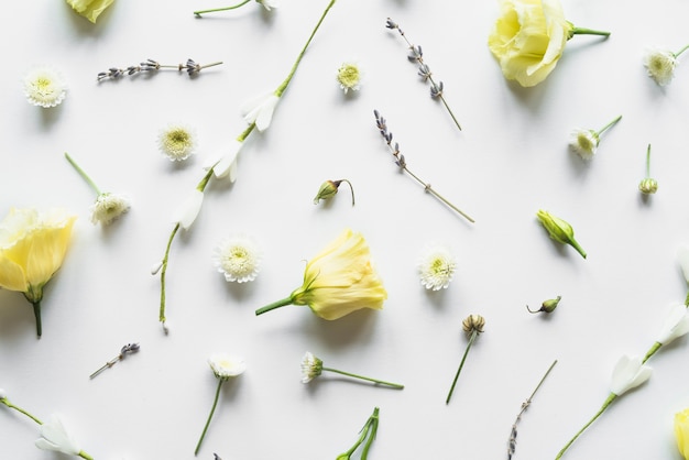 Top view of yellow roses