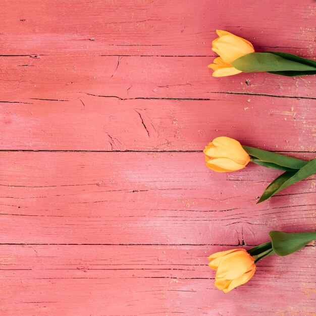 Top view of yellow tulip flowers on wooden floor