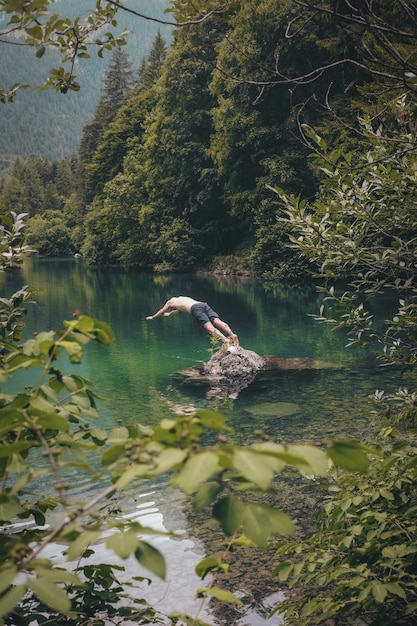 木の近くの水に飛び込もうとしている黒いショートパンツを着たトップレスの男