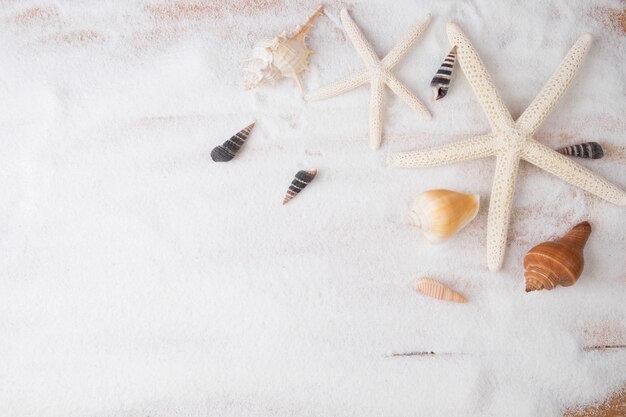 Topview summer background. Sand beach with a lot of seashells and starfish. Vintage tone, Retro filter effect, Soft focus, Low light.(selective focus)&#xA;