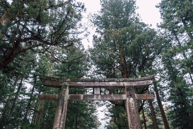 森の鳥居日本神社