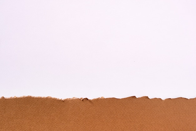 Free photo torn brown paper border white background