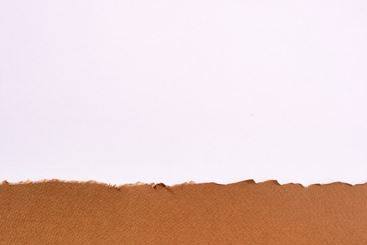 Free Photo torn brown paper border white background