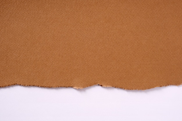 Torn brown paper border white background