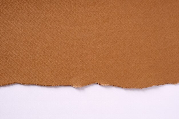 Torn brown paper border white background