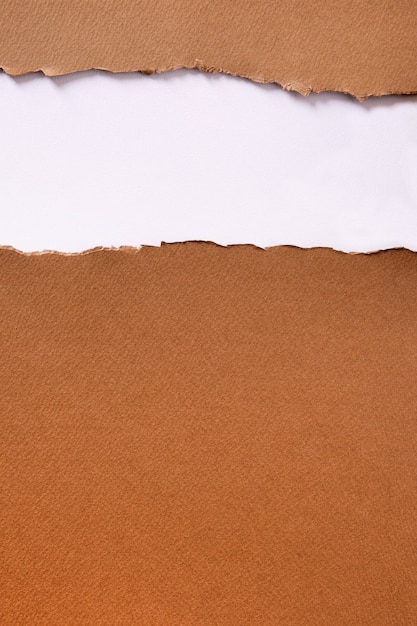 Torn brown paper strip header background vertical