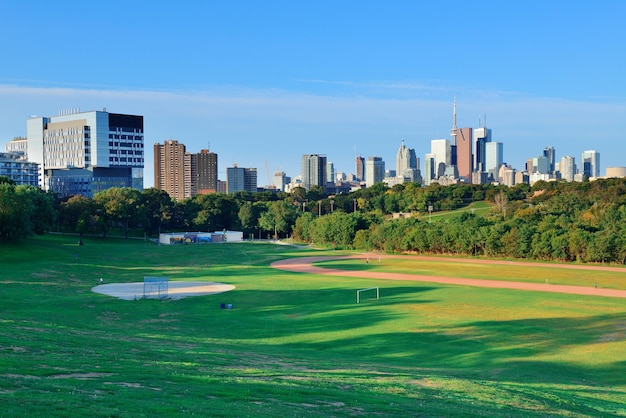 도시 건물과 푸른 하늘이 있는 공원 위에 토론토 스카이라인