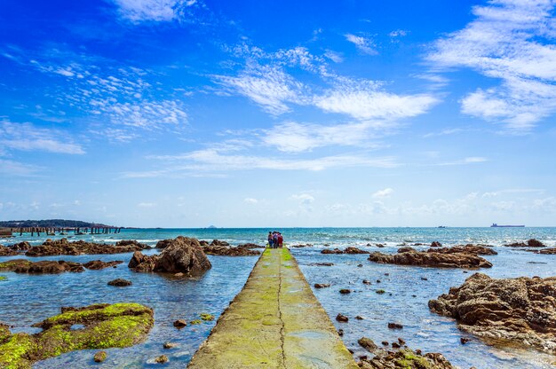 tourism red vacation cross wave seaweed