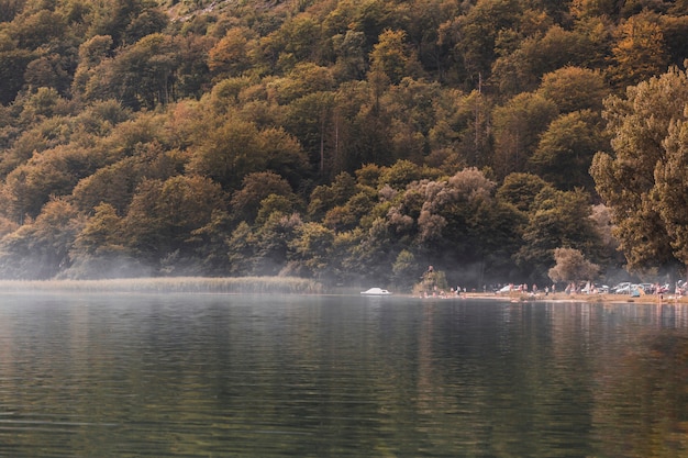 Tourist at the edge of idyllic lake near the green forest