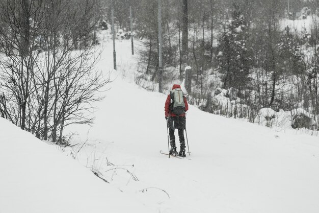 Tourist skiing in forest