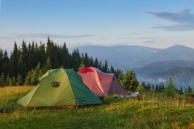 Tourist tents are in the green misty forest at the mountains.