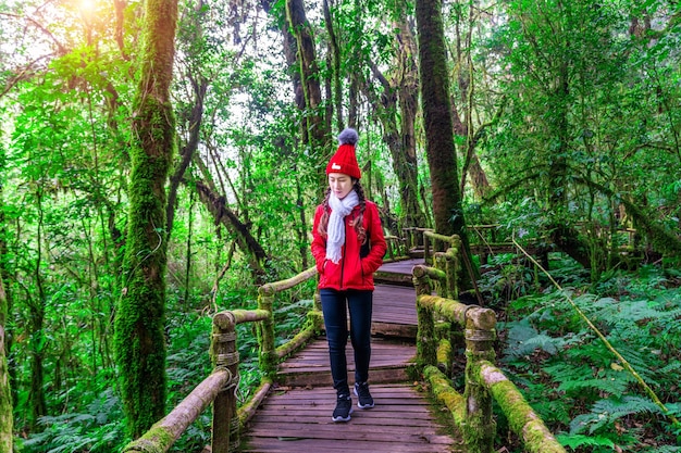 Free photo tourist walking in ang ka nature trail at doi inthanon national park , chiang mai , thailand.