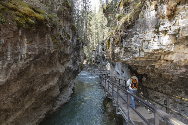 Tourist walking on the wooden pathway in the Johnston Canyon captured in Canada
