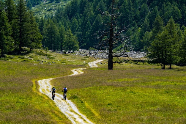 美しい風景の牧草地で自転車に乗る観光客