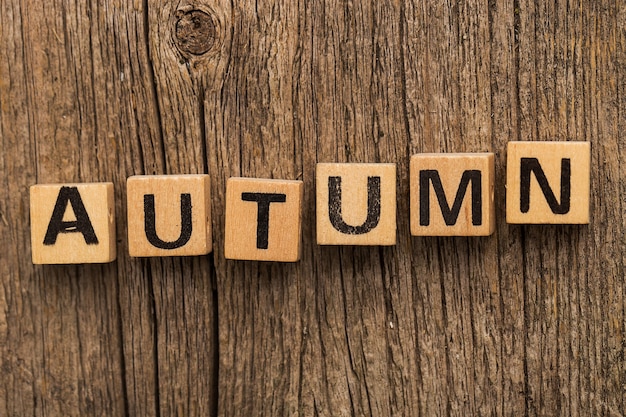 Toy bricks on the table with word autumn