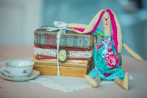 Toy rabbit sits before bunch of old books