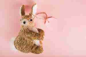 Free photo toy rabbit with tag