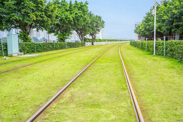 tracks with grass