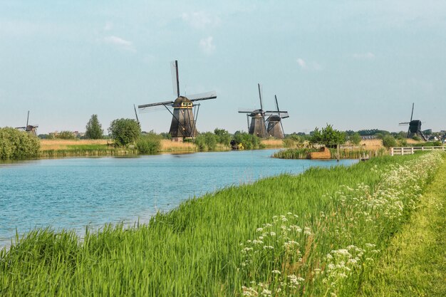 Traditional Dutch windmills with green grass in foreground, Netherlands