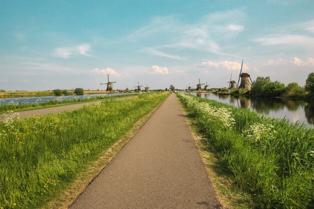 フォアグラウンドで緑の芝生と伝統的なオランダの風車