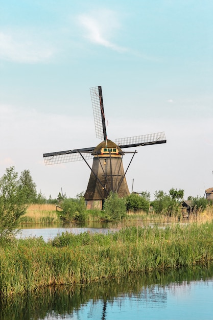 Traditional Dutch windmills with green grass in the foreground