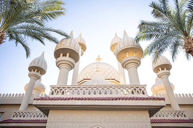 Traditional Islamic mosque among the palm trees in sunny weather