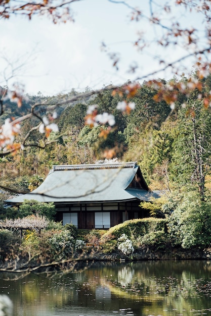 Foto gratuita tradizionale casa in stile giapponese e piscina