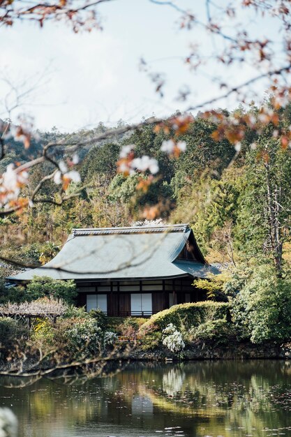 전통적인 일본 가정 syle와 수영장