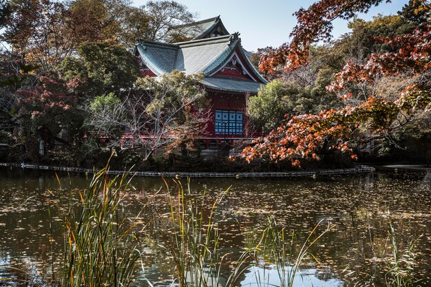 湖のある日本の伝統的な寺院