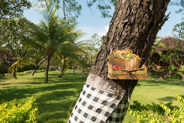 Traditional offerings at Bali