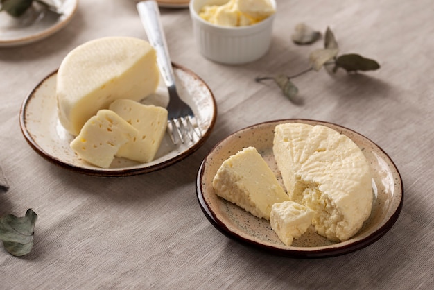Traditional paneer cheese arrangement