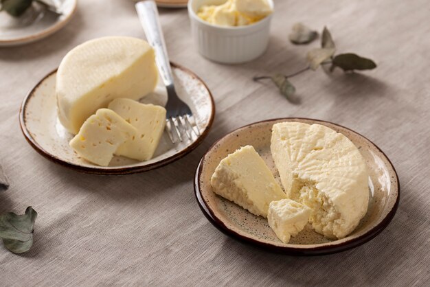 전통적인 파니르 치즈 배열