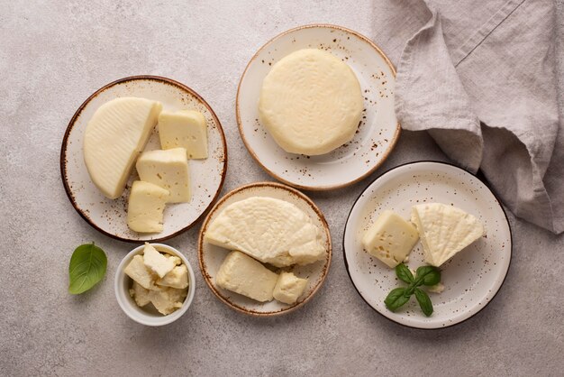 伝統的なパニールチーズの品揃え