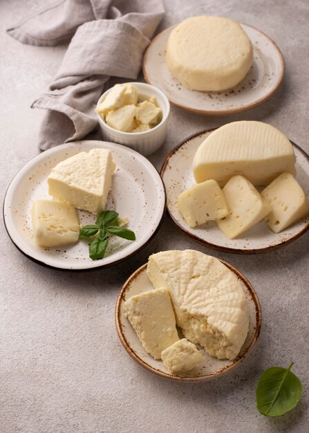 Traditional paneer cheese assortment